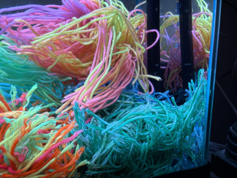 Coordinated pastel pink, yellow, aqua and blue AquaNest mops in a freshwater aquarium