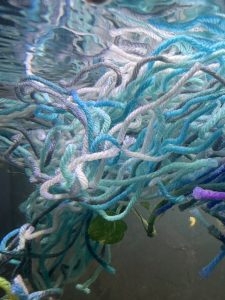 Blue Fish Spawning Mop