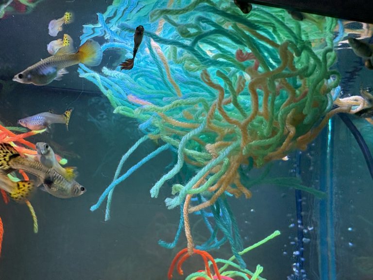 Guppies beside turquoise, green and peach mop strands