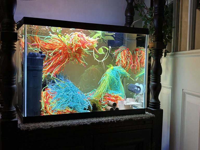 An aquarium arranged with bright floating and non-floating mops